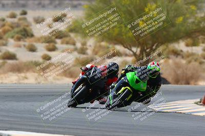 media/Apr-10-2022-SoCal Trackdays (Sun) [[f104b12566]]/Turn 5 Tree of Life (1040am)/